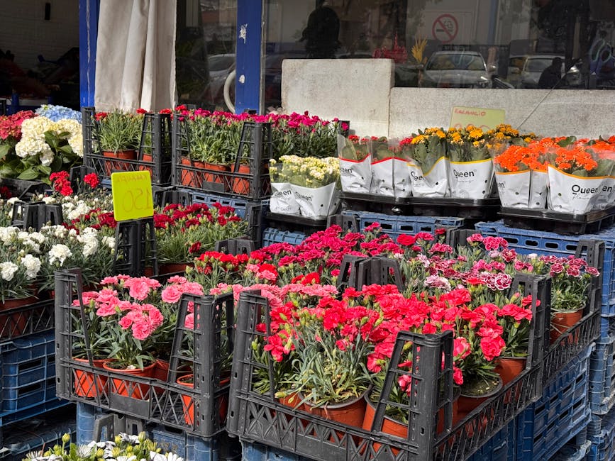 A display of various potted flowers outside a flower shop, featuring vibrant pink and red carnations in plastic pots arranged on black crates, with additional white, yellow, and orange flowers in simi