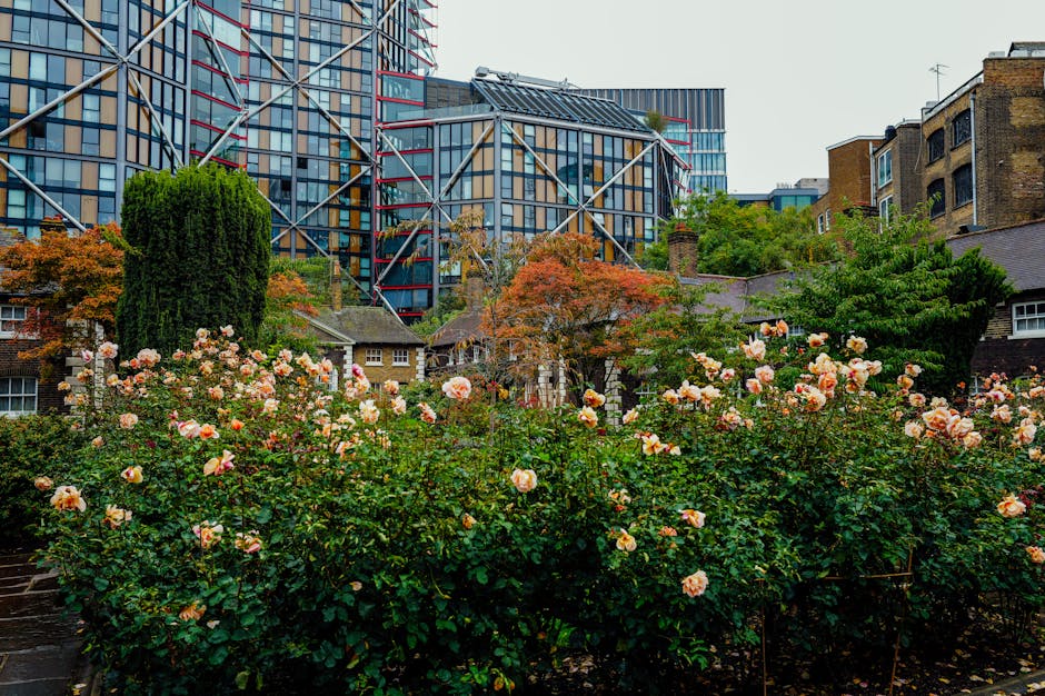 A vibrant garden filled with blooming pink and peach roses arranged in dense clusters, surrounded by green foliage. The flowers are fresh, with soft petals and sturdy stems, and are arranged in a natu