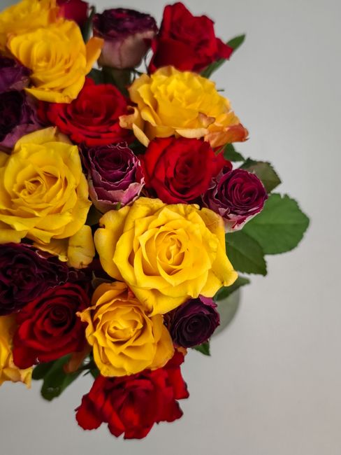 A close-up view of a bouquet featuring a vibrant mix of fresh roses in shades of yellow, red, and deep purple, arranged tightly together. The flowers showcase delicate, velvety petals with some petals